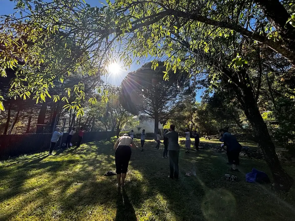 Valerie Millet Personas que participan en una sesión de ejercicio al aire libre en una zona de césped bajo la luz del sol, rodeada de árboles, similar a retiros de empoderamiento. Bienestar Holistico